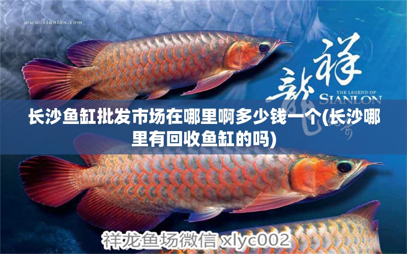 長沙魚缸批發(fā)市場在哪里啊多少錢一個(長沙哪里有回收魚缸的嗎) 泰國斗魚