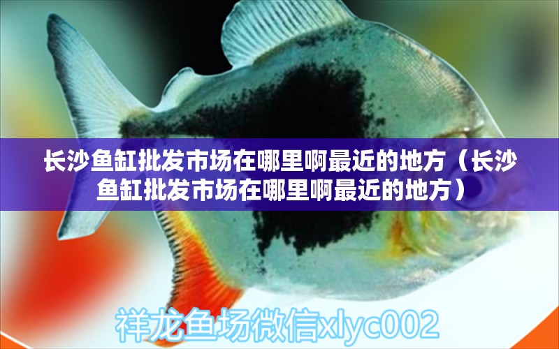 長(zhǎng)沙魚(yú)缸批發(fā)市場(chǎng)在哪里啊最近的地方（長(zhǎng)沙魚(yú)缸批發(fā)市場(chǎng)在哪里啊最近的地方）