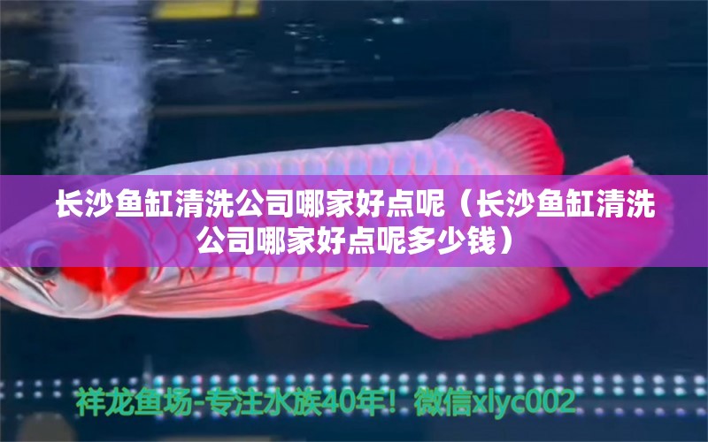 長沙魚缸清洗公司哪家好點呢（長沙魚缸清洗公司哪家好點呢多少錢） 祥龍水族醫(yī)院