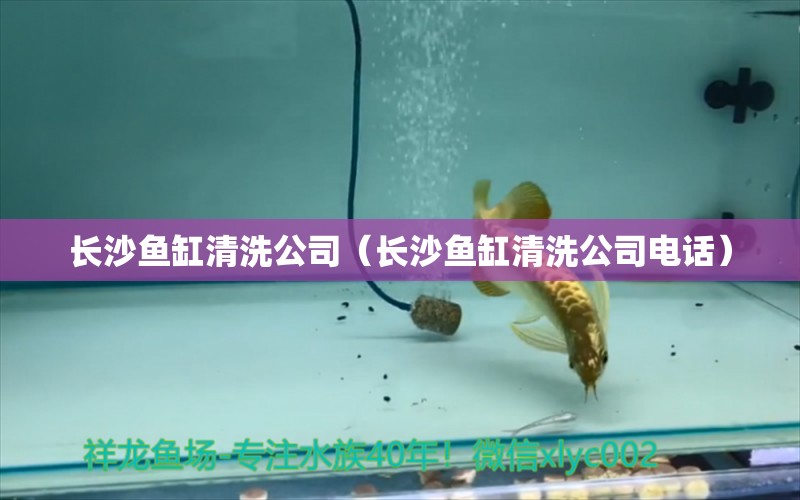 長沙魚缸清洗公司（長沙魚缸清洗公司電話）