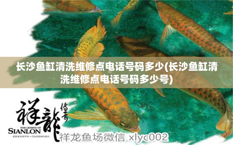 長沙魚缸清洗維修點電話號碼多少(長沙魚缸清洗維修點電話號碼多少號) 黑金魟魚