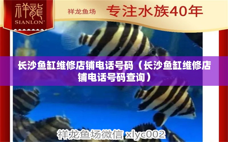 長沙魚缸維修店鋪電話號碼（長沙魚缸維修店鋪電話號碼查詢）