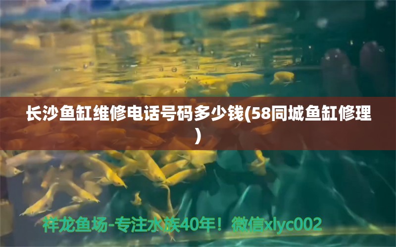 長沙魚缸維修電話號碼多少錢(58同城魚缸修理) 其它水族用具設(shè)備 第1張