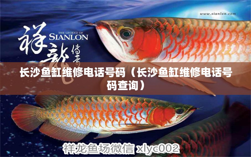 長沙魚缸維修電話號碼（長沙魚缸維修電話號碼查詢） 其他品牌魚缸