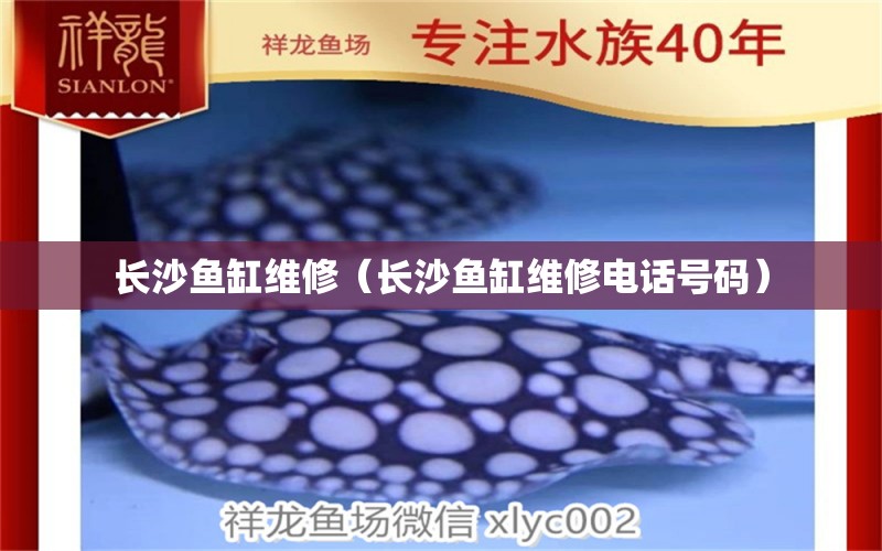 長沙魚缸維修（長沙魚缸維修電話號碼） 祥龍水族醫(yī)院