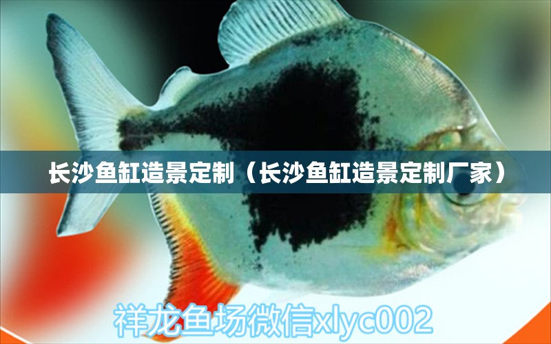 長沙魚缸造景定制（長沙魚缸造景定制廠家） 其他品牌魚缸