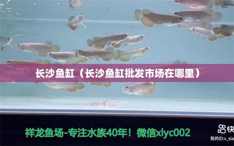 長(zhǎng)沙魚缸（長(zhǎng)沙魚缸批發(fā)市場(chǎng)在哪里） 其他品牌魚缸