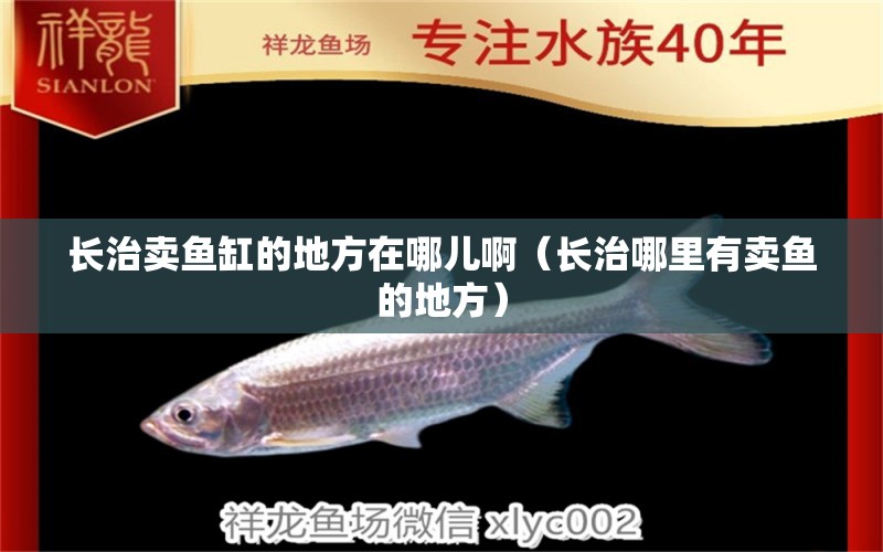 長治賣魚缸的地方在哪兒?。ㄩL治哪里有賣魚的地方） 南美異形觀賞魚