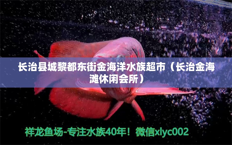 長治縣城黎都東街金海洋水族超市（長治金海灘休閑會所） 全國水族館企業(yè)名錄