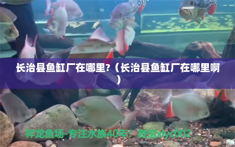 長(zhǎng)治縣魚(yú)缸廠(chǎng)在哪里?（長(zhǎng)治縣魚(yú)缸廠(chǎng)在哪里?。?其他品牌魚(yú)缸