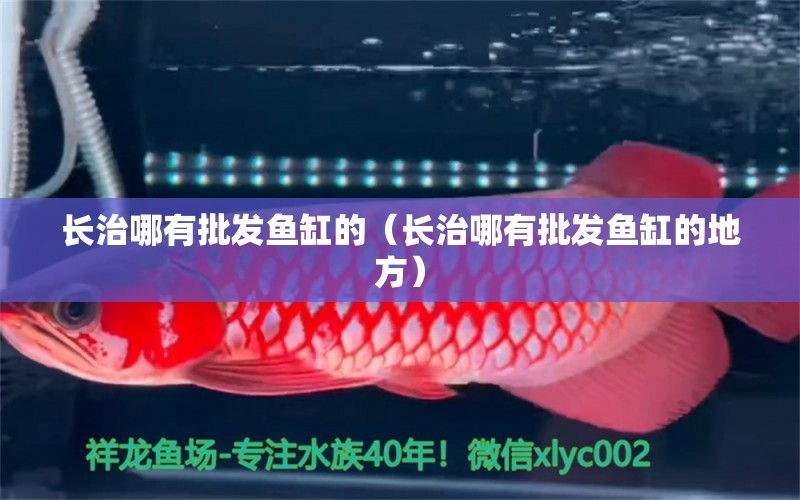 長治哪有批發(fā)魚缸的（長治哪有批發(fā)魚缸的地方）