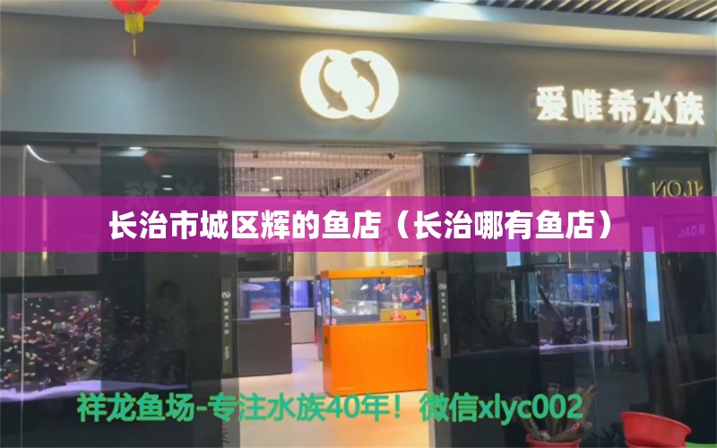 長治市城區(qū)輝的魚店（長治哪有魚店） 全國水族館企業(yè)名錄