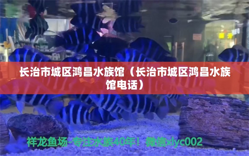 長(zhǎng)治市城區(qū)鴻昌水族館（長(zhǎng)治市城區(qū)鴻昌水族館電話） 全國(guó)水族館企業(yè)名錄