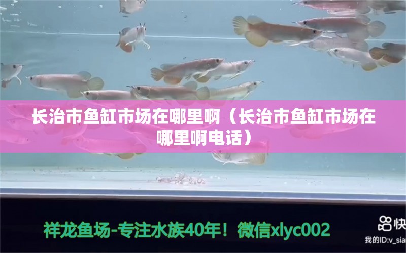 長治市魚缸市場在哪里?。ㄩL治市魚缸市場在哪里啊電話） 其他品牌魚缸