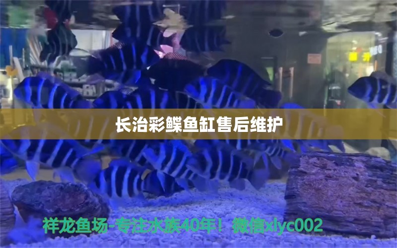 長治彩鰈魚缸售后維護(hù) 彩鰈魚缸（彩蝶魚缸）