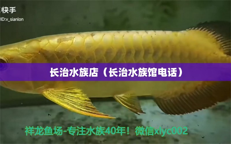 長(zhǎng)治水族店（長(zhǎng)治水族館電話） 觀賞魚市場(chǎng)