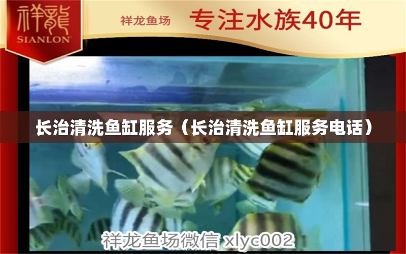 長治清洗魚缸服務(wù)（長治清洗魚缸服務(wù)電話） 其他品牌魚缸