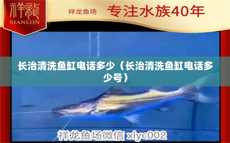 長治清洗魚缸電話多少（長治清洗魚缸電話多少號） 其他品牌魚缸