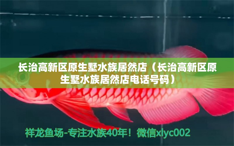 長治高新區(qū)原生墅水族居然店（長治高新區(qū)原生墅水族居然店電話號碼）