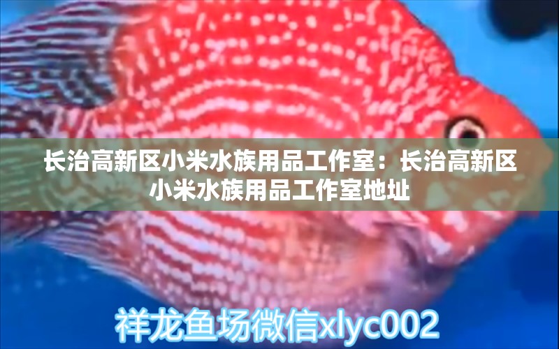 長治高新區(qū)小米水族用品工作室：長治高新區(qū)小米水族用品工作室地址