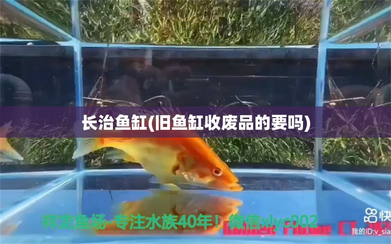 長治魚缸(舊魚缸收廢品的要嗎)