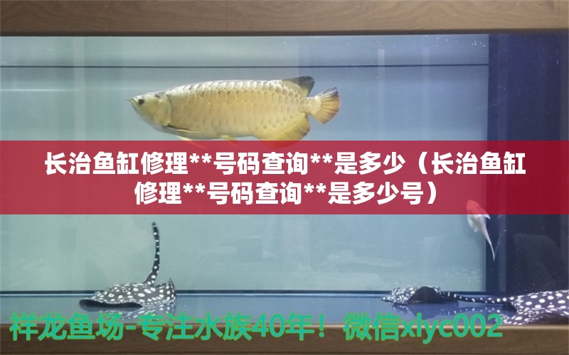 長治魚缸修理**號碼查詢**是多少（長治魚缸修理**號碼查詢**是多少號） 祥龍水族醫(yī)院