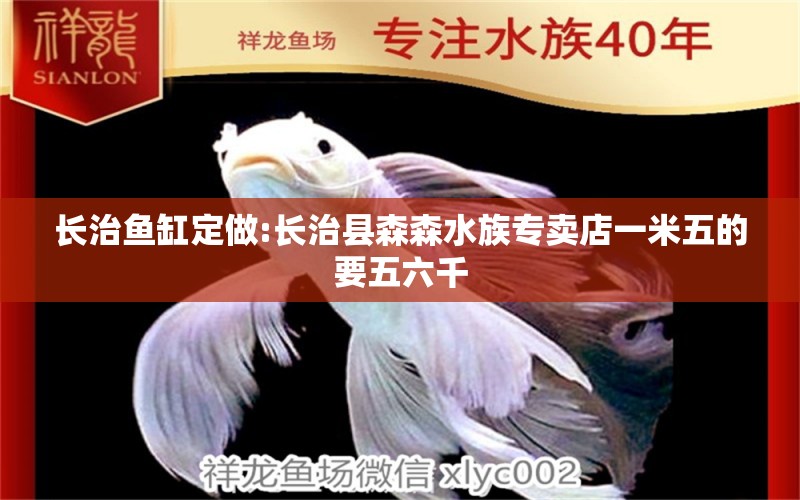 長(zhǎng)治魚(yú)缸定做:長(zhǎng)治縣森森水族專(zhuān)賣(mài)店一米五的要五六千 魚(yú)缸百科