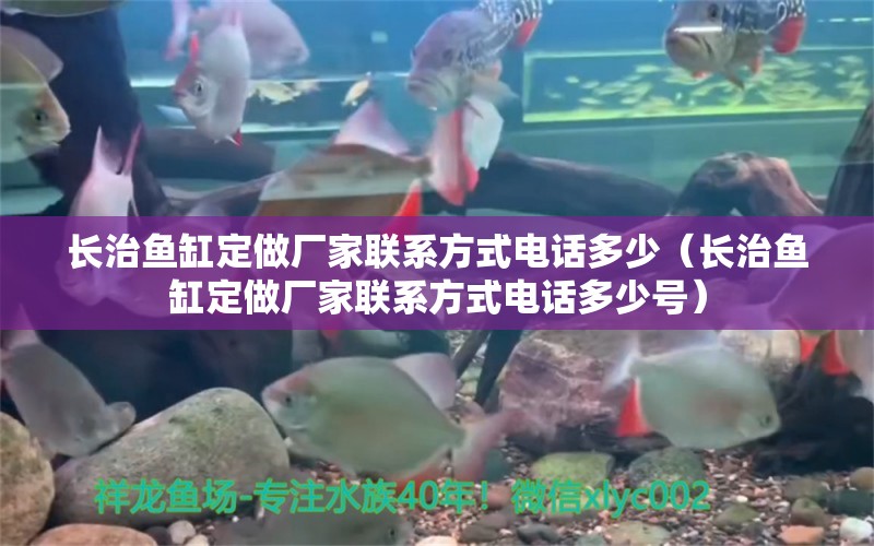 長治魚缸定做廠家聯(lián)系方式電話多少（長治魚缸定做廠家聯(lián)系方式電話多少號）