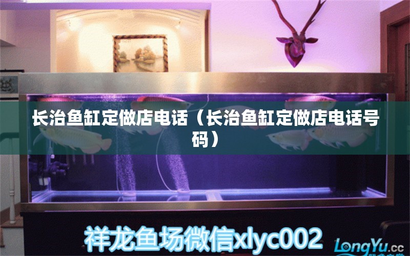 長治魚缸定做店電話（長治魚缸定做店電話號碼） 其他品牌魚缸