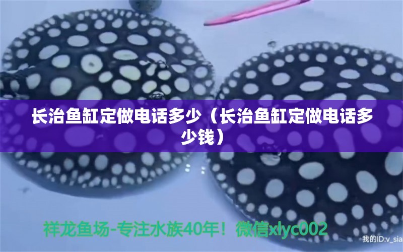 長(zhǎng)治魚缸定做電話多少（長(zhǎng)治魚缸定做電話多少錢） 其他品牌魚缸