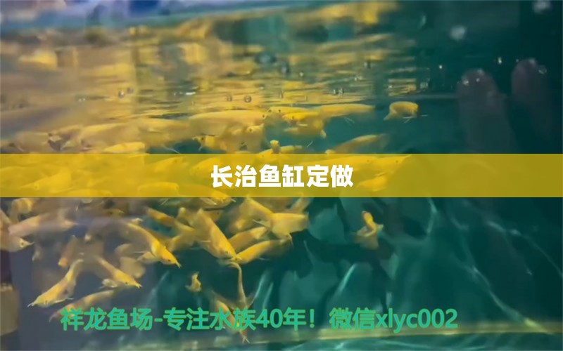 長(zhǎng)治魚缸定做 其他品牌魚缸