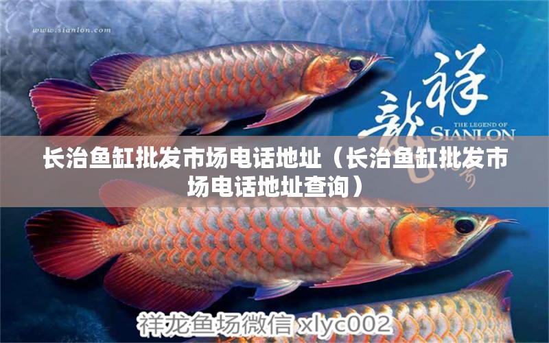 長治魚缸批發(fā)市場電話地址（長治魚缸批發(fā)市場電話地址查詢）