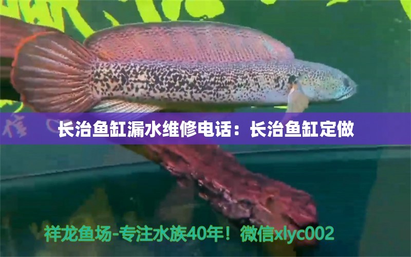 長治魚缸漏水維修電話：長治魚缸定做