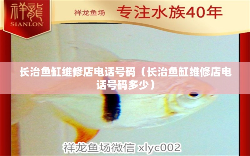 長治魚缸維修店電話號碼（長治魚缸維修店電話號碼多少） 觀賞魚市場（混養(yǎng)魚）