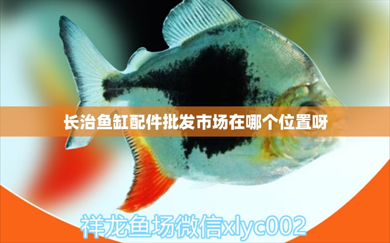 長(zhǎng)治魚(yú)缸配件批發(fā)市場(chǎng)在哪個(gè)位置呀