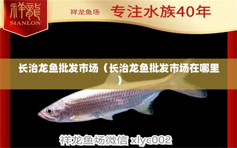 長治龍魚批發(fā)市場（長治龍魚批發(fā)市場在哪里）