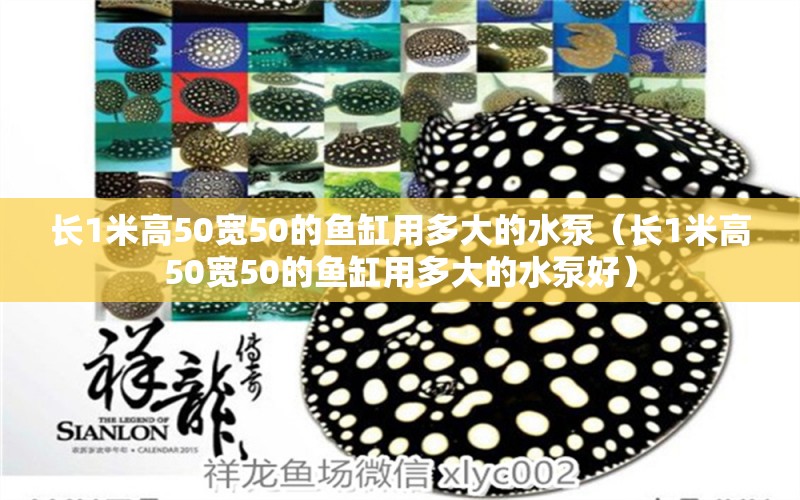 長1米高50寬50的魚缸用多大的水泵（長1米高50寬50的魚缸用多大的水泵好）