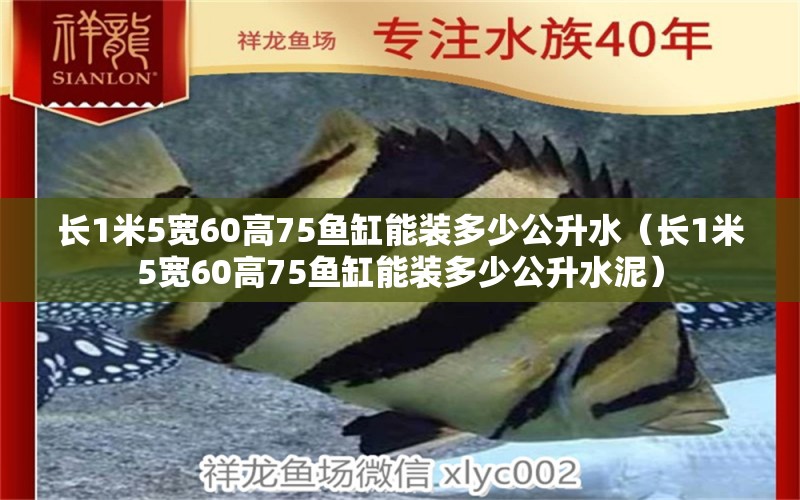 長(zhǎng)1米5寬60高75魚(yú)缸能裝多少公升水（長(zhǎng)1米5寬60高75魚(yú)缸能裝多少公升水泥）