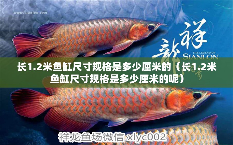 長1.2米魚缸尺寸規(guī)格是多少厘米的（長1.2米魚缸尺寸規(guī)格是多少厘米的呢） 其他品牌魚缸