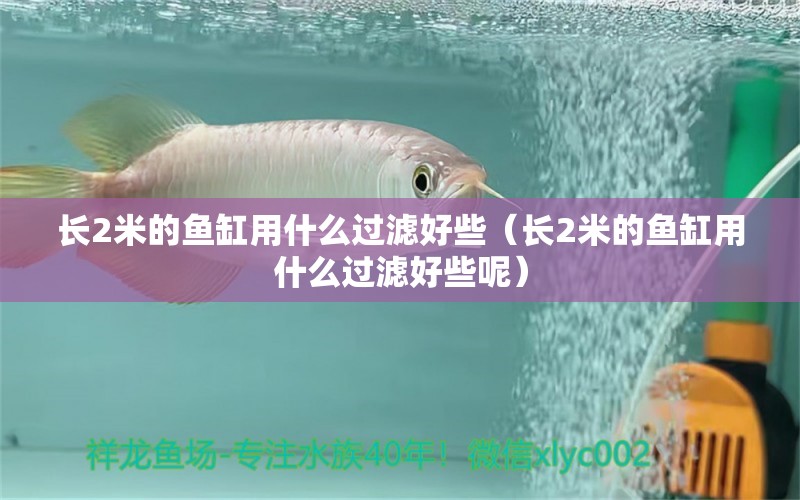 長2米的魚缸用什么過濾好些（長2米的魚缸用什么過濾好些呢）