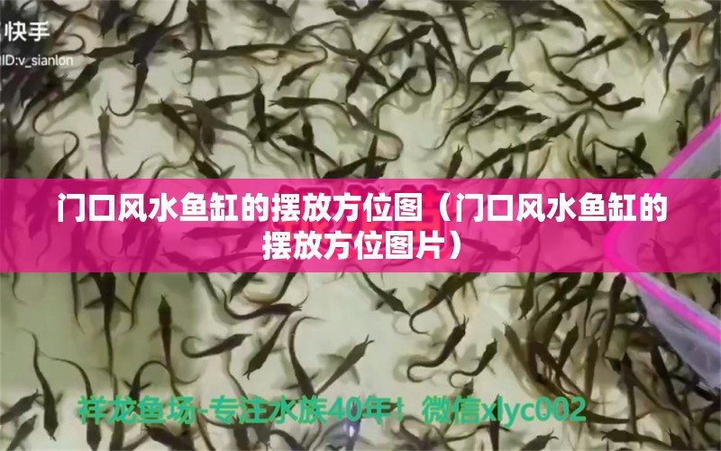 門口風(fēng)水魚缸的擺放方位圖（門口風(fēng)水魚缸的擺放方位圖片）