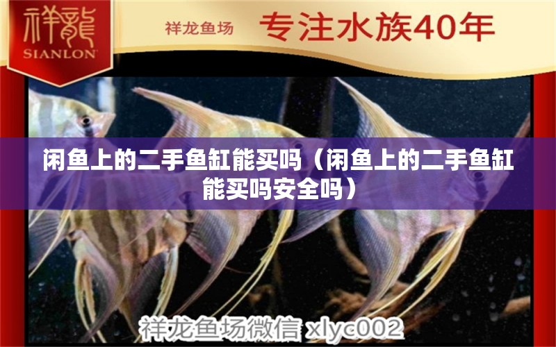 閑魚(yú)上的二手魚(yú)缸能買嗎（閑魚(yú)上的二手魚(yú)缸能買嗎安全嗎） 祥龍水族醫(yī)院