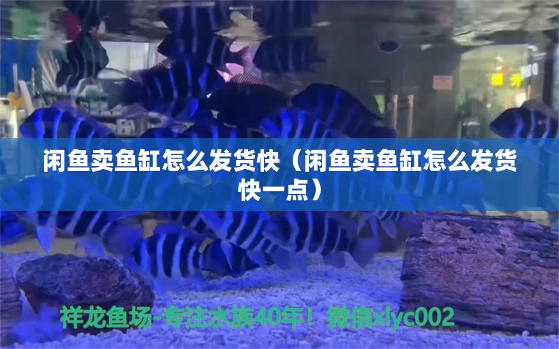 閑魚賣魚缸怎么發(fā)貨快（閑魚賣魚缸怎么發(fā)貨快一點(diǎn)） 黑白雙星 第1張