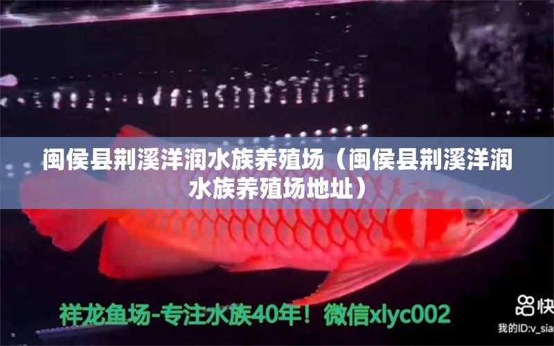 閩侯縣荊溪洋潤水族養(yǎng)殖場（閩侯縣荊溪洋潤水族養(yǎng)殖場地址） 全國水族館企業(yè)名錄