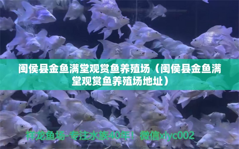 閩侯縣金魚滿堂觀賞魚養(yǎng)殖場(chǎng)（閩侯縣金魚滿堂觀賞魚養(yǎng)殖場(chǎng)地址）