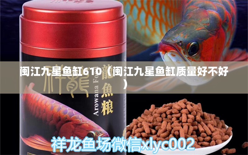 閩江九星魚缸610（閩江九星魚缸質(zhì)量好不好） 觀賞魚市場(chǎng)（混養(yǎng)魚）