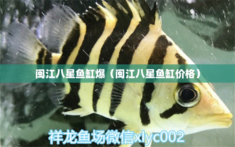 閩江八星魚(yú)缸爆（閩江八星魚(yú)缸價(jià)格）