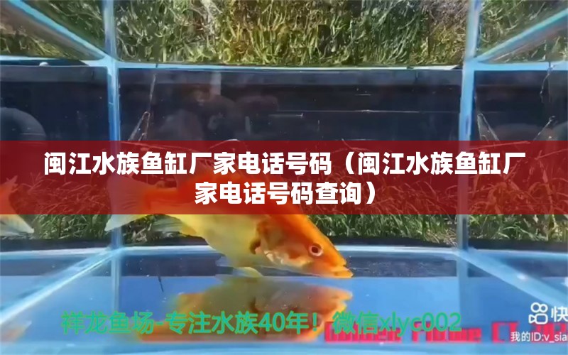 閩江水族魚缸廠家電話號(hào)碼（閩江水族魚缸廠家電話號(hào)碼查詢） 觀賞魚市場（混養(yǎng)魚）