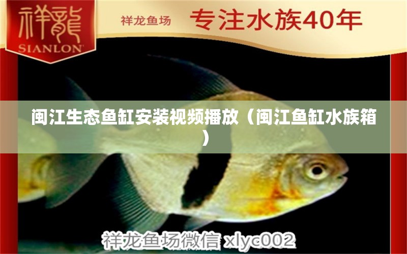 閩江生態(tài)魚缸安裝視頻播放（閩江魚缸水族箱）