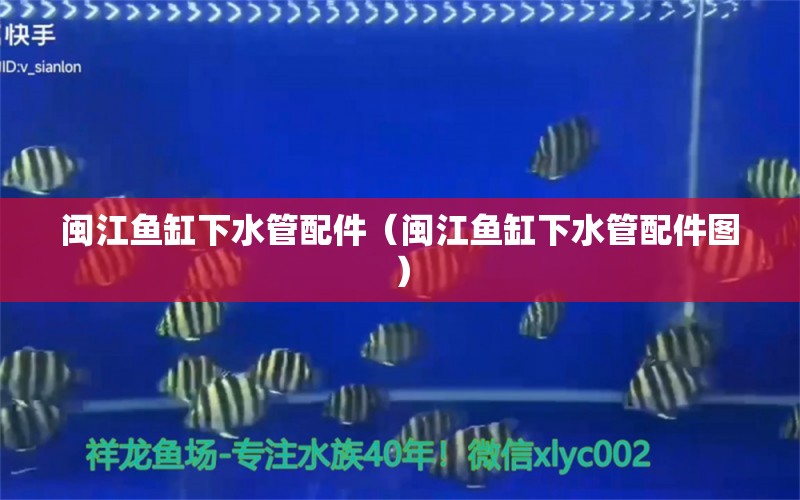 閩江魚缸下水管配件（閩江魚缸下水管配件圖） 廣州龍魚批發(fā)市場